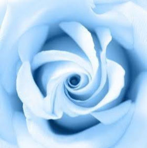 Meet your Posher, Ava